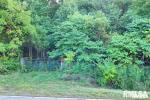 MLS# PA1230833